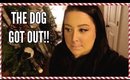 THE DOG GOT OUT!! | Vlogmas Day #2