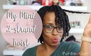 Mini Two Strand Twist on Natural Hair