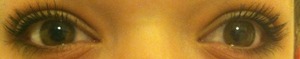 Warm tones. Highlights on inner corner. Depth in crease. 