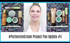 #PartnersInCream Project Pan Collab Update #4