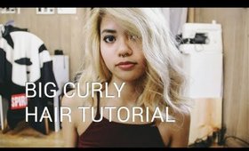 Curly Hair Tutorial- Tori Kelly Hair Fail