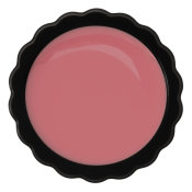 Anna Sui Lip & Face Color Gloss G301