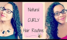 Summer Curly Hair Routine | anissalove234