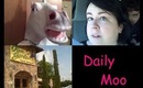 Daily Moo A Looooooong Day