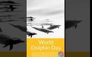 World Dolphin Day