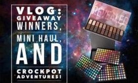 TheNewGirl007 ║ VLOG: Giveaway Winners, Mini Haul, and Crockpot Adventures! ☮