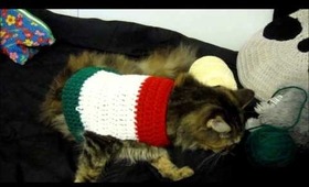 Banjo and Kazooie's Christmas sweater