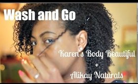 Wash and Go | Karen's Body Beautiful + Alikay Naturals