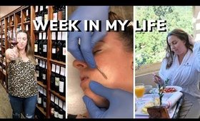 WHAT I DID THIS WEEK 🔪DERMAPLANING, SANTANA ROW WINE BAR, PHO HA NOI, TOLL HOUSE LOS GATOS