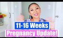 PREGNANCY UPDATE! 11 week - 16 weeks! Second Trimester Pregnancy!