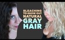 Bleaching Hair to go Natural Gray