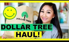 DOLLAR TREE HAUL! #7