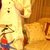 Bushra S.