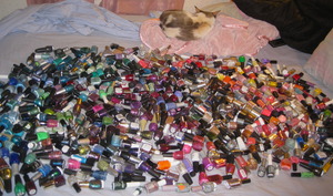 400+ Nail Polishes, and 1 cat. My stash!