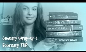 January Wrap-Up & February TBR