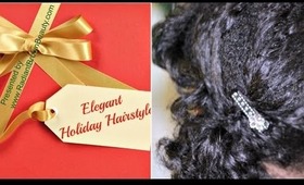 Elegant Holiday Hair | Style & Natural Hair