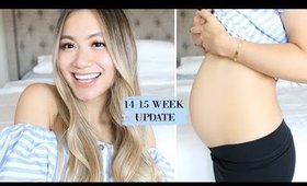 Pregnancy Update 14-15 Weeks, Baby #3: The Golden Trimester, Happy, Energetic | HAUSOFCOLOR