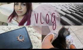 January Vlog Part 2 | Snow, Faux Septum Ring & A Scary Paranormal Update | TheRaviOsahn VLOG