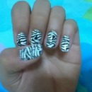 Zebra beuty