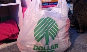 Dollar Tree Haul- January 14 2013