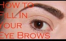 How To Fill in & Shape Your Eyebrows Like a Pro