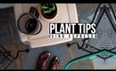 Plants + Espresso (Gardening Tips)
