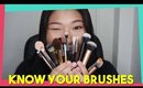 Introduction to Makeup Brushes: Part I
