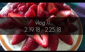 Vlog! My Brother Turned 30 D: | 2.19.18 - 2.26.18