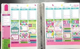 POPSICLE PLAN WITH ME | Plan with Tam | Erin Condren Life Planner