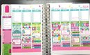 POPSICLE PLAN WITH ME | Plan with Tam | Erin Condren Life Planner
