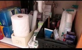 Bathroom Overhaul: Under the Sink [Reorganization]