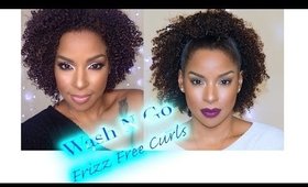 Wash N Go Technique For Frizz Free Curls | Beautybylee