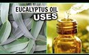 EUCALYPTUS OIL USES for Hair Growth, Hair Loss, Breathe Better, Pain, Insomnia, Aromatherapy, Athsma