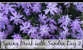 Q&A with My Sister | Spring Break with Sandra Day 2