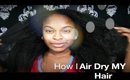 HAIR REGIMEN | How I Airdry MY Hair