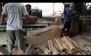 Cách người ta làm ra một cái ván gỗ đẹp