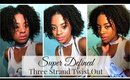 My DNA Defined Three Strand Twist Out | GIVE AWAY 🎁 |