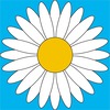 Taressa J.
