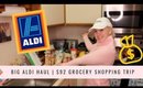 BIG Aldi Haul | $92 for Healthy Groceries