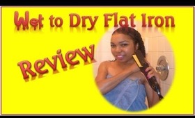 Wet to Dry Flat Iron Review - Ms Toi