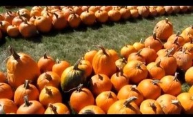 FALL PREVIEW