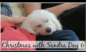 Chill Day | Christmas with Sandra Day 6