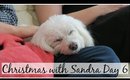 Chill Day | Christmas with Sandra Day 6