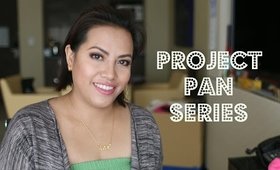 Project Pan Intro