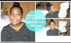 Pregnancy Week 18&19 Update! + Gender Reveal and Baby Haul!