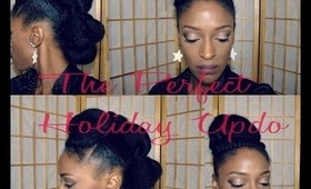 *165* The Prefect Christmas/Holiday Updo (Protecti