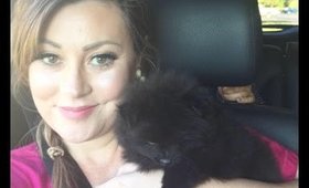 October 2015 Favorites, New Puppy, & Movies