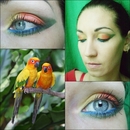 Bird Makeup