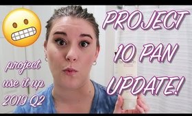 PROJECT USE IT UP 2019: Q2 Project Pan UPDATE