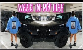 SO MY BROTHER CAME TO L.A. | WEEK IN MY LIFE